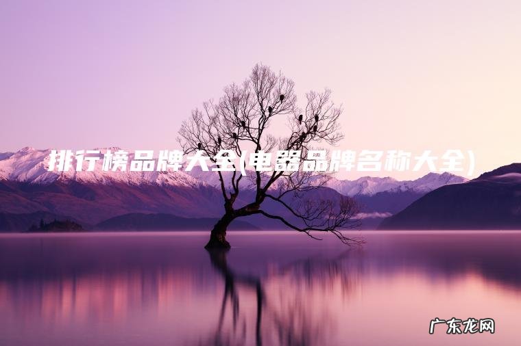 电器品牌名称大全 排行榜品牌大全