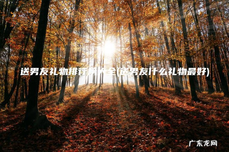 送男友礼物排行榜大全(送男友什么礼物最好) 送男友什么礼物最好 送男友礼物排行榜大全