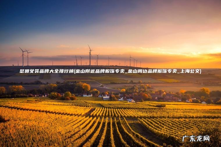 金山附近品牌服饰专卖_金山周边品牌服饰专卖_上海公交 瑟俪女装品牌大全排行榜