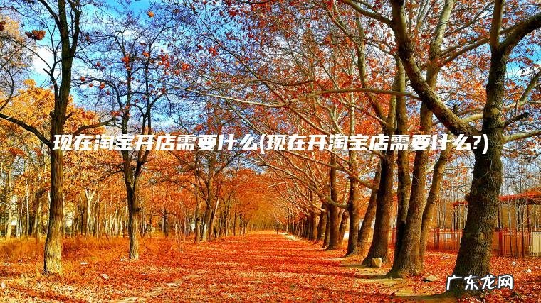 现在淘宝开店需要什么(现在开淘宝店需要什么?) 现在开淘宝店需要什么? 现在淘宝开店需要什么