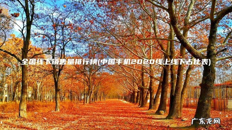 全国线下销售量排行榜(中国手机2020线上线下占比表) 中国手机2020线上线下占比表 全国线下销售量排行榜