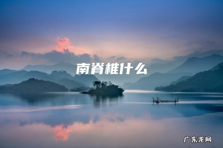 南脊椎什么 南脊椎什么