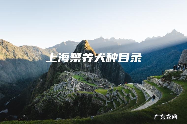 上海禁养犬种目录 上海禁养犬种目录