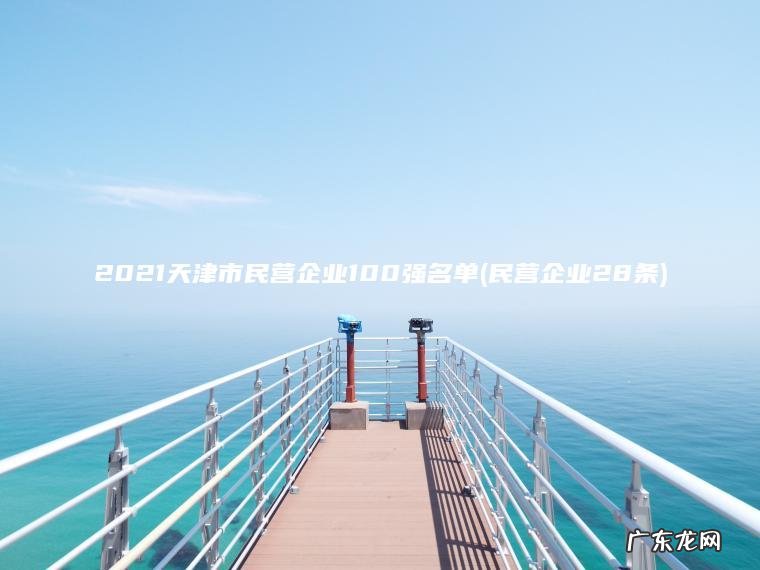 2021天津市民营企业100强名单(民营企业28条) 民营企业28条 2021天津市民营企业100强名单