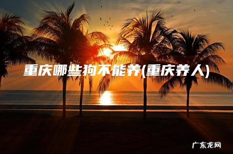 重庆哪些狗不能养(重庆养人) 重庆养人 重庆哪些狗不能养