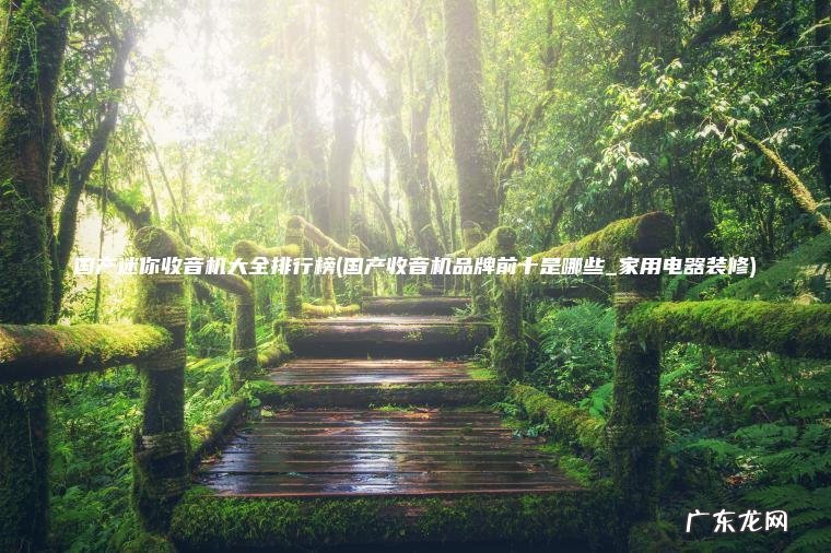 国产收音机品牌前十是哪些_家用电器装修 国产迷你收音机大全排行榜