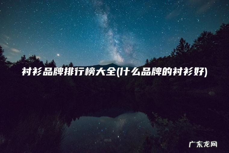 衬衫品牌排行榜大全(什么品牌的衬衫好) 什么品牌的衬衫好 衬衫品牌排行榜大全