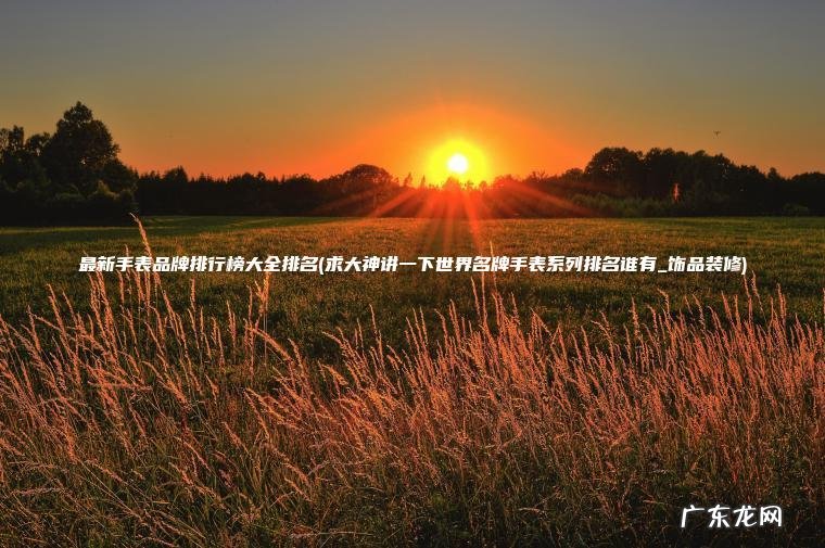 最新手表品牌排行榜大全排名(求大神讲一下世界名牌手表系列排名谁有_饰品装修)