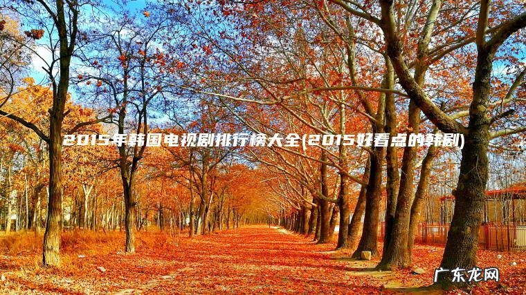 2015年韩国电视剧排行榜大全(2015好看点的韩剧) 2015好看点的韩剧 2015年韩国电视剧排行榜大全
