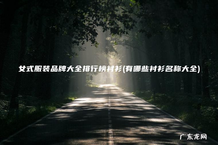 女式服装品牌大全排行榜衬衫(有哪些衬衫名称大全) 有哪些衬衫名称大全 女式服装品牌大全排行榜衬衫