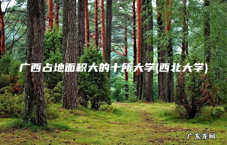 广西占地面积大的十所大学(西北大学) 西北大学 广西占地面积大的十所大学