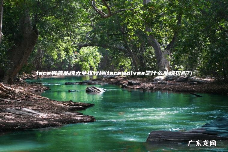 face男装品牌大全排行榜(facewolves是什么品牌衣服?) facewolves是什么品牌衣服? face男装品牌大全排行榜