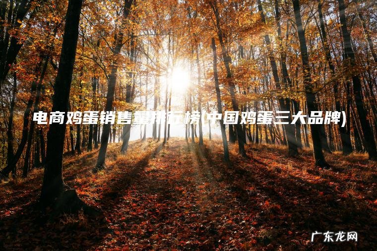 电商鸡蛋销售量排行榜(中国鸡蛋三大品牌) 中国鸡蛋三大品牌 电商鸡蛋销售量排行榜