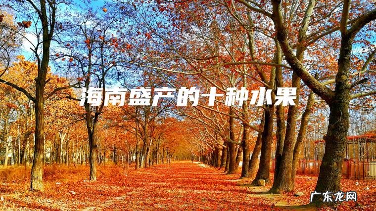 海南盛产的十种水果 海南盛产的十种水果