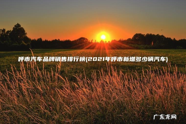 呼市汽车品牌销售排行榜(2021年呼市新增多少辆汽车) 2021年呼市新增多少辆汽车 呼市汽车品牌销售排行榜