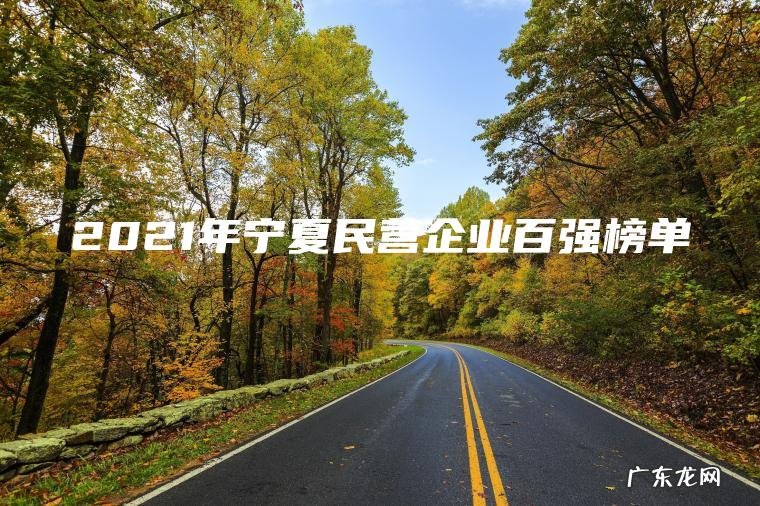 2021年宁夏民营企业百强榜单 2021年宁夏民营企业百强榜单
