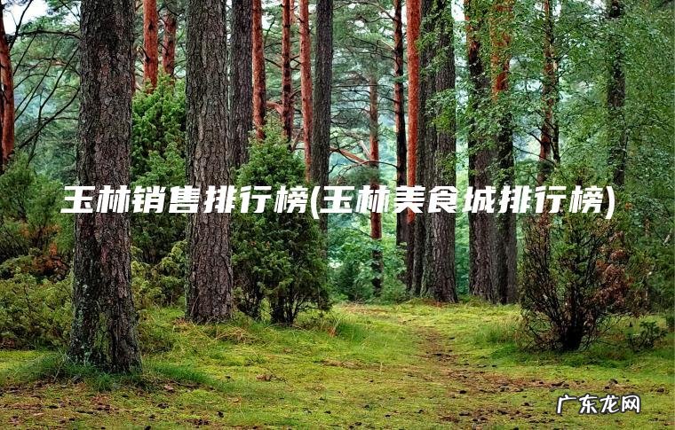 玉林销售排行榜(玉林美食城排行榜) 玉林美食城排行榜 玉林销售排行榜