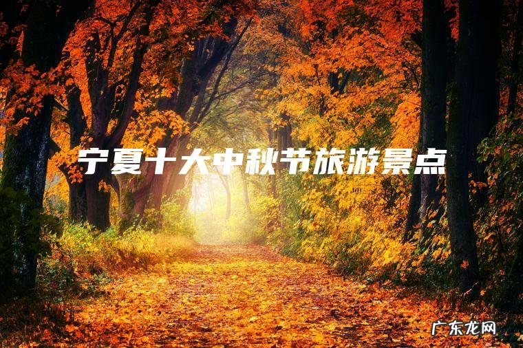 宁夏十大中秋节旅游景点 宁夏十大中秋节旅游景点