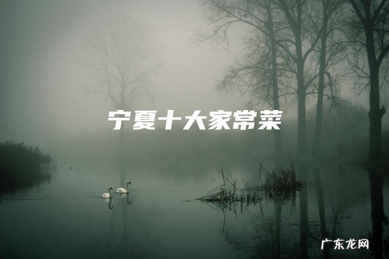 宁夏十大家常菜 宁夏十大家常菜