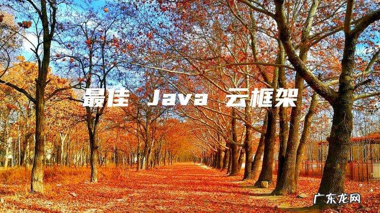 最佳 Java 云框架 最佳 Java 云框架
