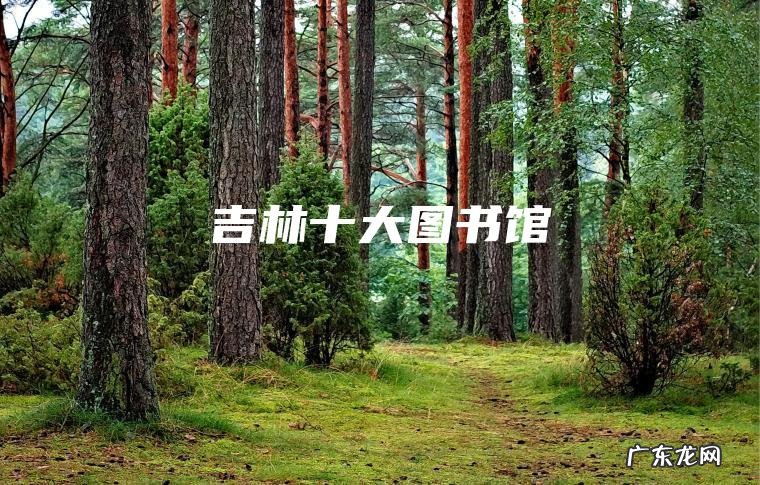 吉林十大图书馆 吉林十大图书馆