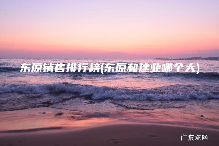 东原销售排行榜(东原和建业哪个大)