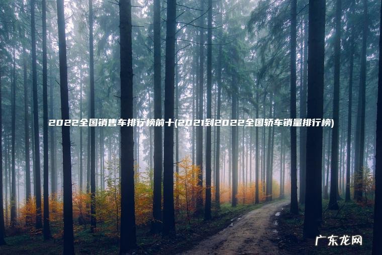 2022全国销售车排行榜前十(2021到2022全国轿车销量排行榜)