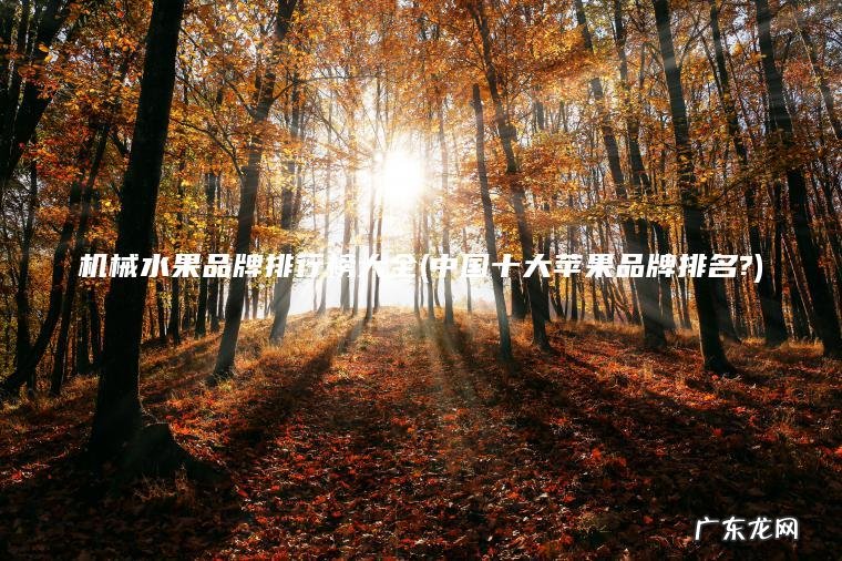 机械水果品牌排行榜大全(中国十大苹果品牌排名?) 中国十大苹果品牌排名? 机械水果品牌排行榜大全