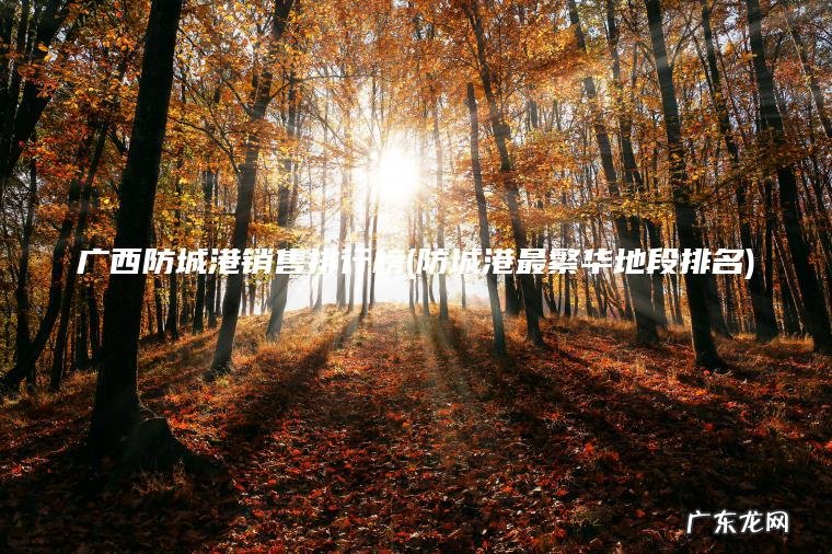 广西防城港销售排行榜(防城港最繁华地段排名) 防城港最繁华地段排名 广西防城港销售排行榜