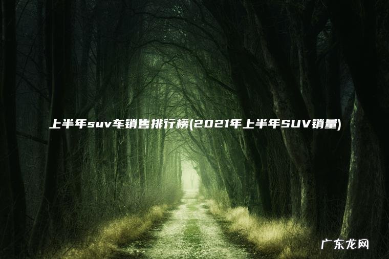 2021年上半年SUV销量 上半年suv车销售排行榜