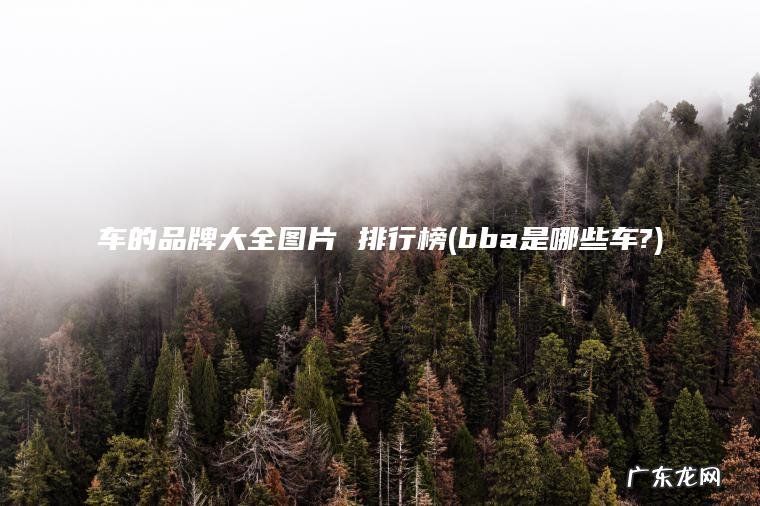 车的品牌大全图片 排行榜(bba是哪些车?) bba是哪些车? 车的品牌大全图片 排行榜