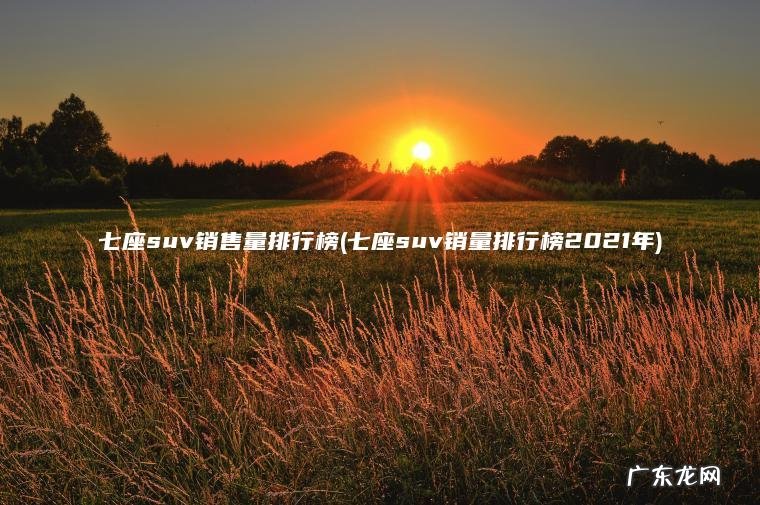 七座suv销售量排行榜(七座suv销量排行榜2021年) 七座suv销量排行榜2021年 七座suv销售量排行榜