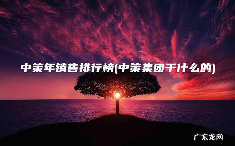 中策集团干什么的 中策年销售排行榜