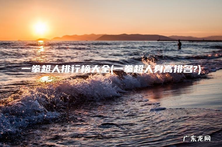 一拳超人排行榜大全(一拳超人身高排名?)