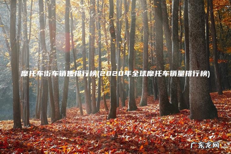 2020年全球摩托车销量排行榜 摩托车街车销售排行榜