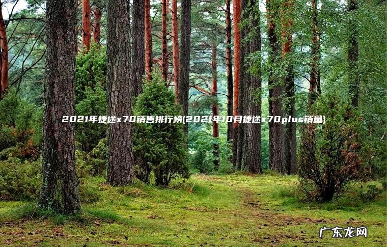 2021年10月捷途x70plus销量 2021年捷途x70销售排行榜