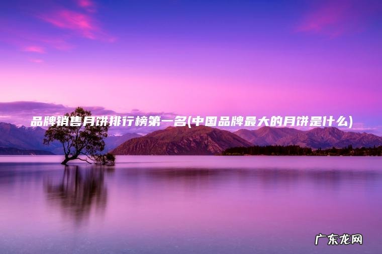 品牌销售月饼排行榜第一名(中国品牌最大的月饼是什么) 中国品牌最大的月饼是什么 品牌销售月饼排行榜第一名