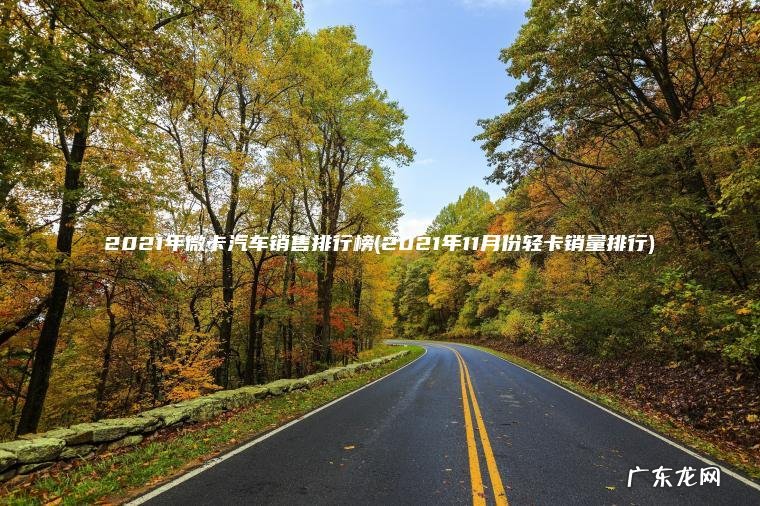 2021年微卡汽车销售排行榜(2021年11月份轻卡销量排行) 2021年11月份轻卡销量排行 2021年微卡汽车销售排行榜