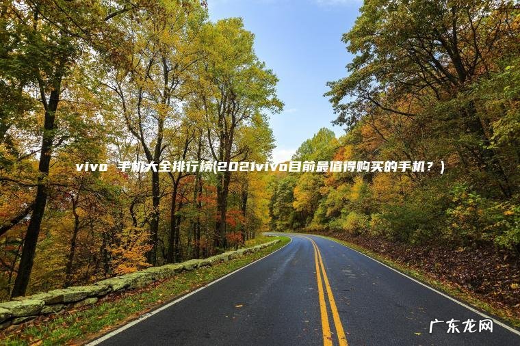 vivo 手机大全排行榜(2021vivo目前最值得购买的手机?) 2021vivo目前最值得购买的手机? vivo 手机大全排行榜