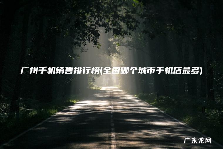 广州手机销售排行榜(全国哪个城市手机店最多)
