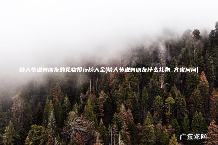 情人节送男朋友什么礼物_齐家问问 情人节送男朋友的礼物排行榜大全