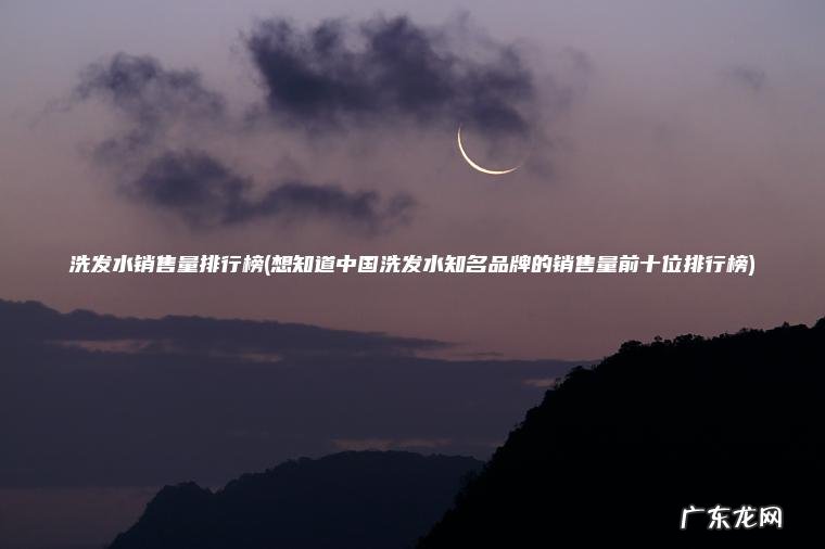 洗发水销售量排行榜(想知道中国洗发水知名品牌的销售量前十位排行榜) 想知道中国洗发水知名品牌的销售量前十位排行榜 洗发水销售量排行榜