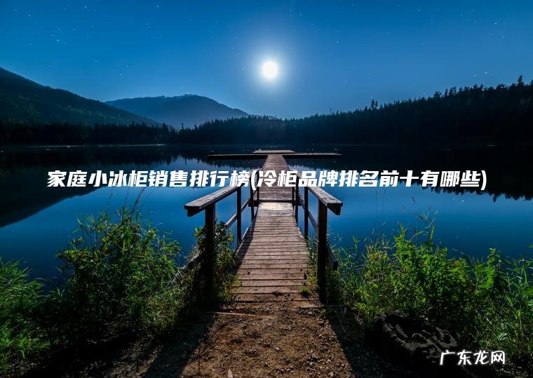 家庭小冰柜销售排行榜(冷柜品牌排名前十有哪些) 冷柜品牌排名前十有哪些 家庭小冰柜销售排行榜