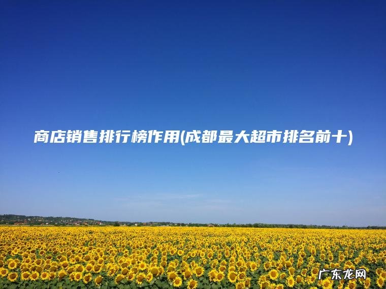 成都最大超市排名前十 商店销售排行榜作用