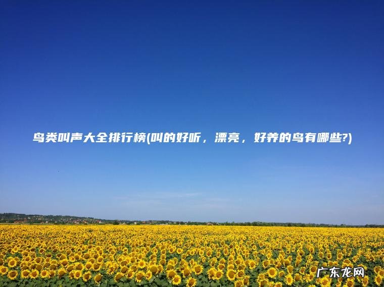 鸟类叫声大全排行榜(叫的好听, 漂亮, 好养的鸟有哪些?) 叫的好听,漂亮,好养的鸟有哪些? 鸟类叫声大全排行榜