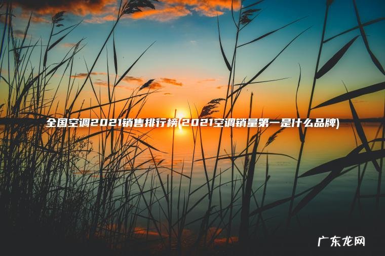 2021空调销量第一是什么品牌 全国空调2021销售排行榜