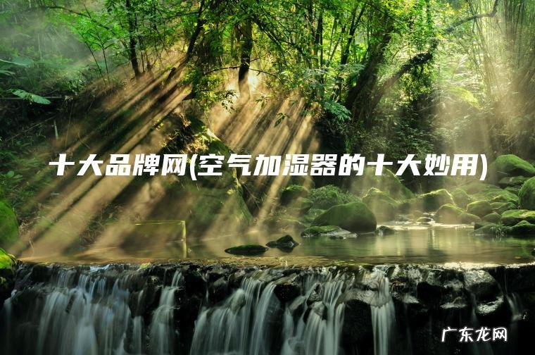 十大品牌网(空气加湿器的十大妙用) 空气加湿器的十大妙用 十大品牌网