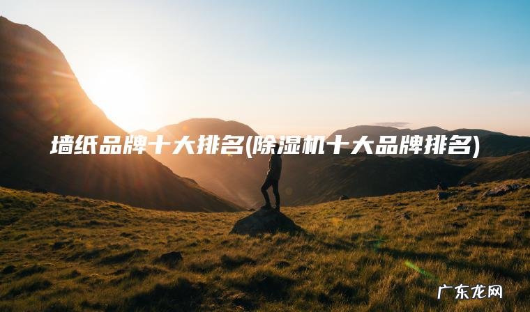 除湿机十大品牌排名 墙纸品牌十大排名