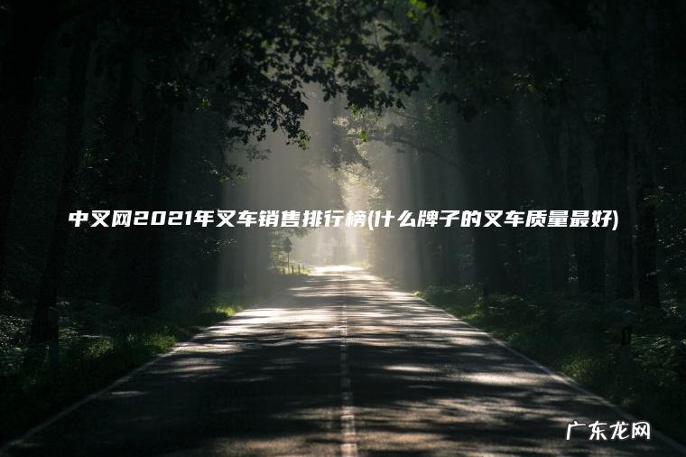 中叉网2021年叉车销售排行榜(什么牌子的叉车质量最好)