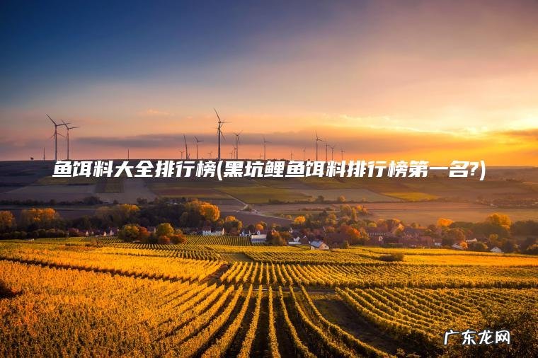 黑坑鲤鱼饵料排行榜第一名? 鱼饵料大全排行榜